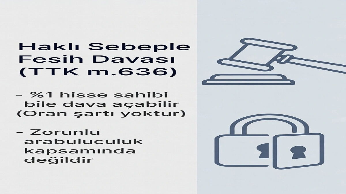Limited şirketlerde haklı sebeple fesih davasının şartları, arabuluculuk durumu ve mahkeme sürecini gösteren sade bilgi grafiği.